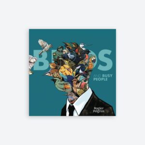 Birds and Busy People (vinyl)